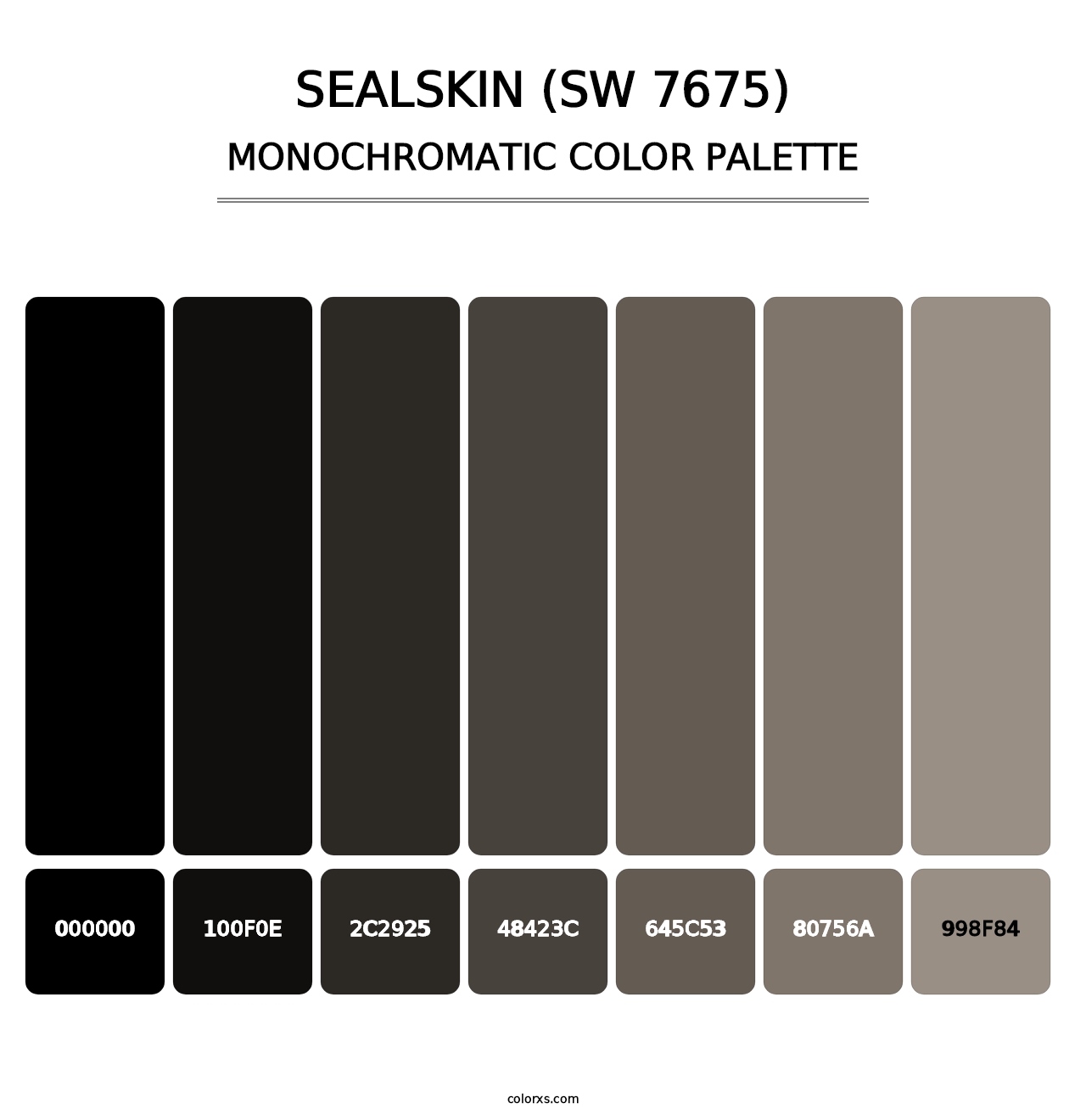 Sealskin (SW 7675) - Monochromatic Color Palette