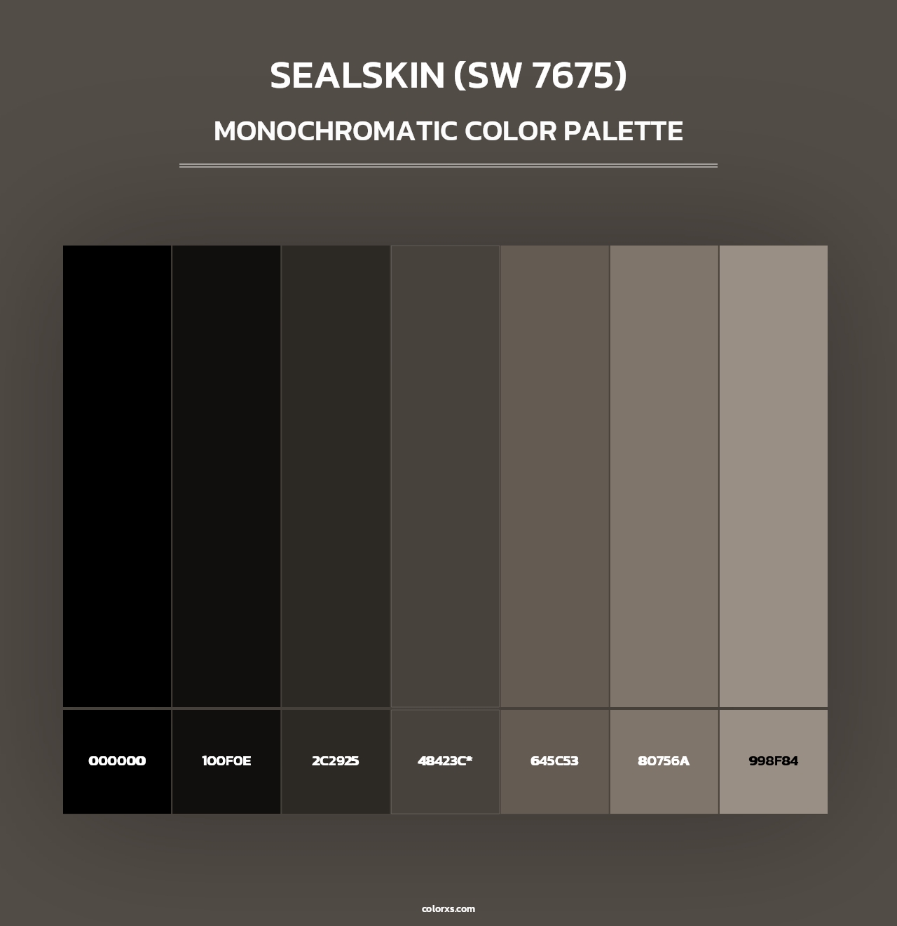 Sealskin (SW 7675) - Monochromatic Color Palette