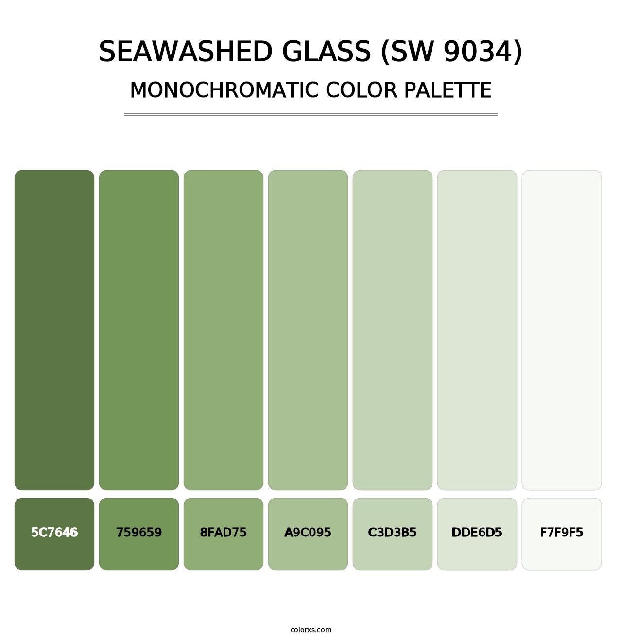 Seawashed Glass (SW 9034) - Monochromatic Color Palette