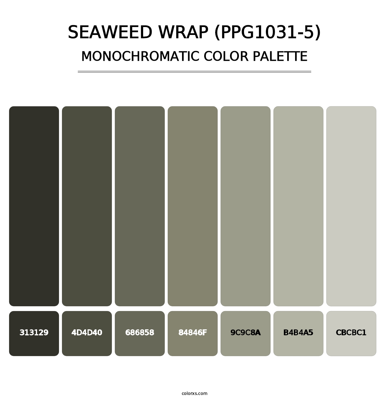 Seaweed Wrap (PPG1031-5) - Monochromatic Color Palette
