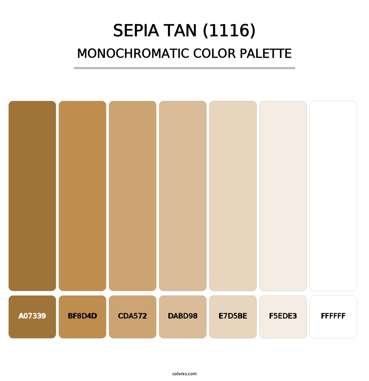 Sepia Tan (1116) - Monochromatic Color Palette