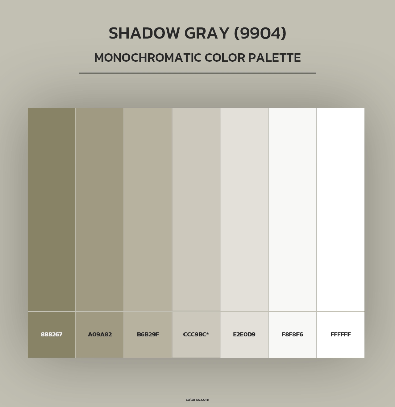 Shadow Gray (9904) - Monochromatic Color Palette