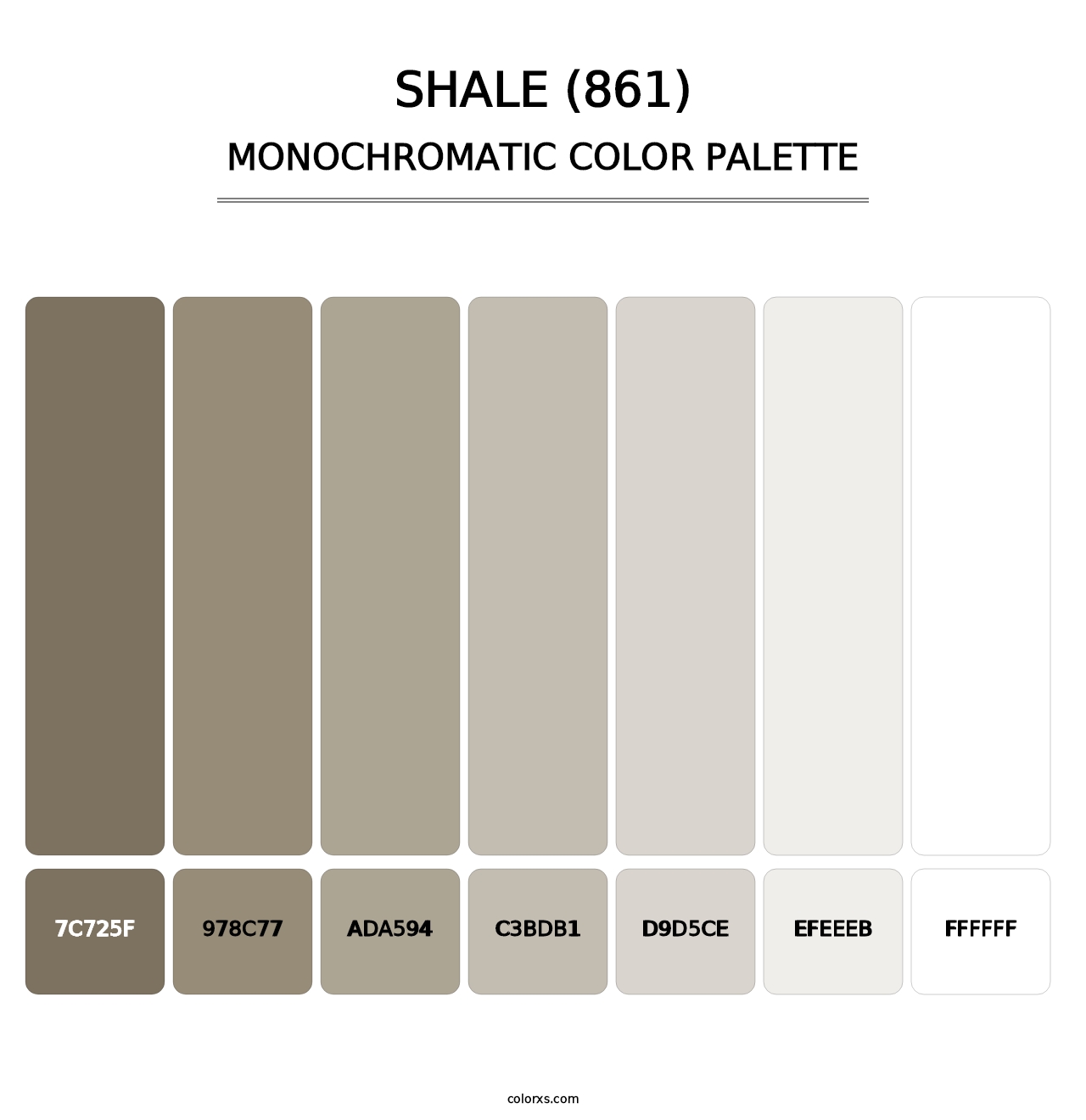Shale (861) - Monochromatic Color Palette