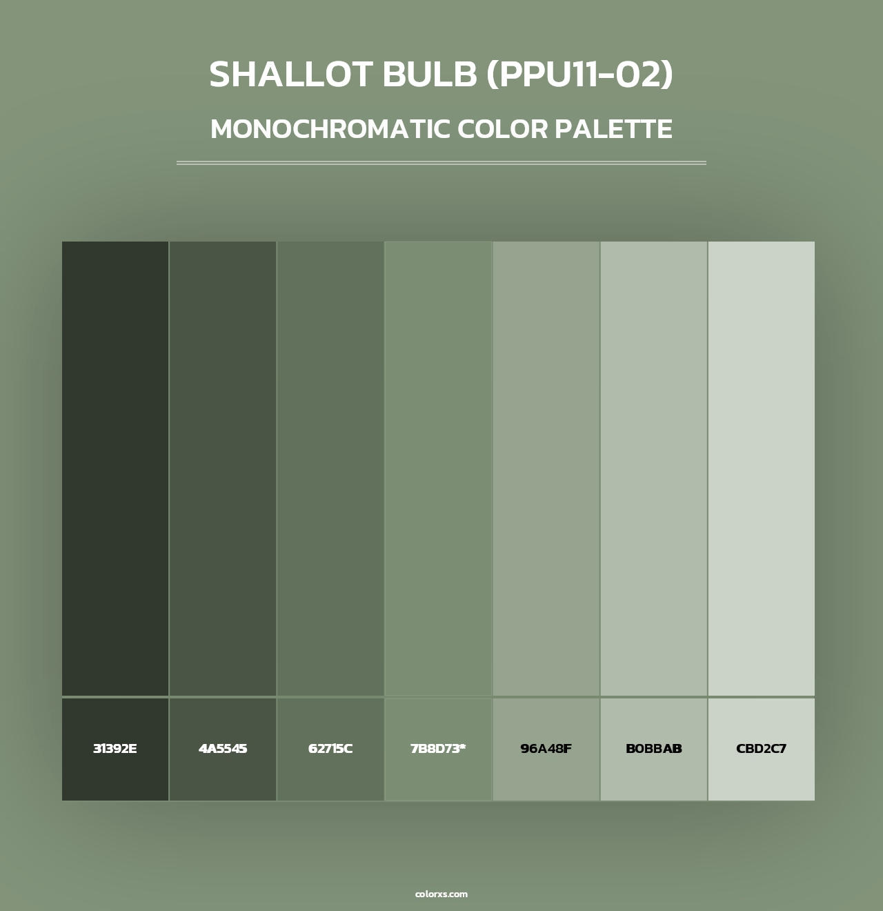 Shallot Bulb (PPU11-02) - Monochromatic Color Palette