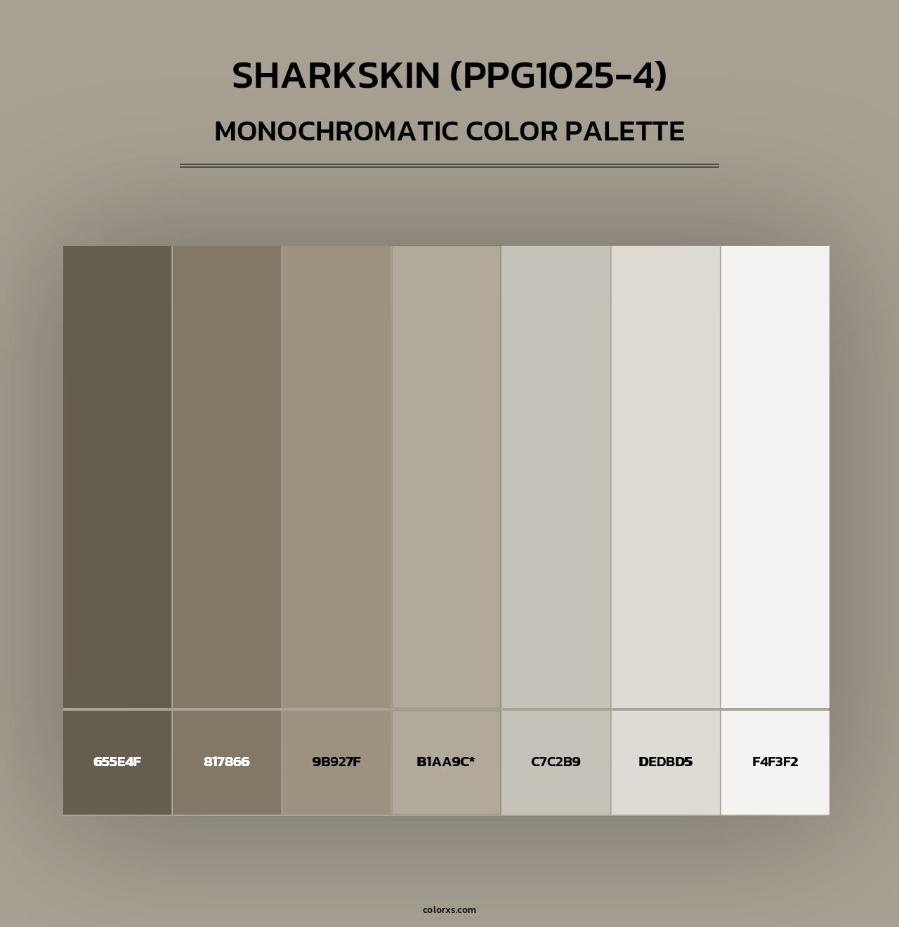 Sharkskin (PPG1025-4) - Monochromatic Color Palette