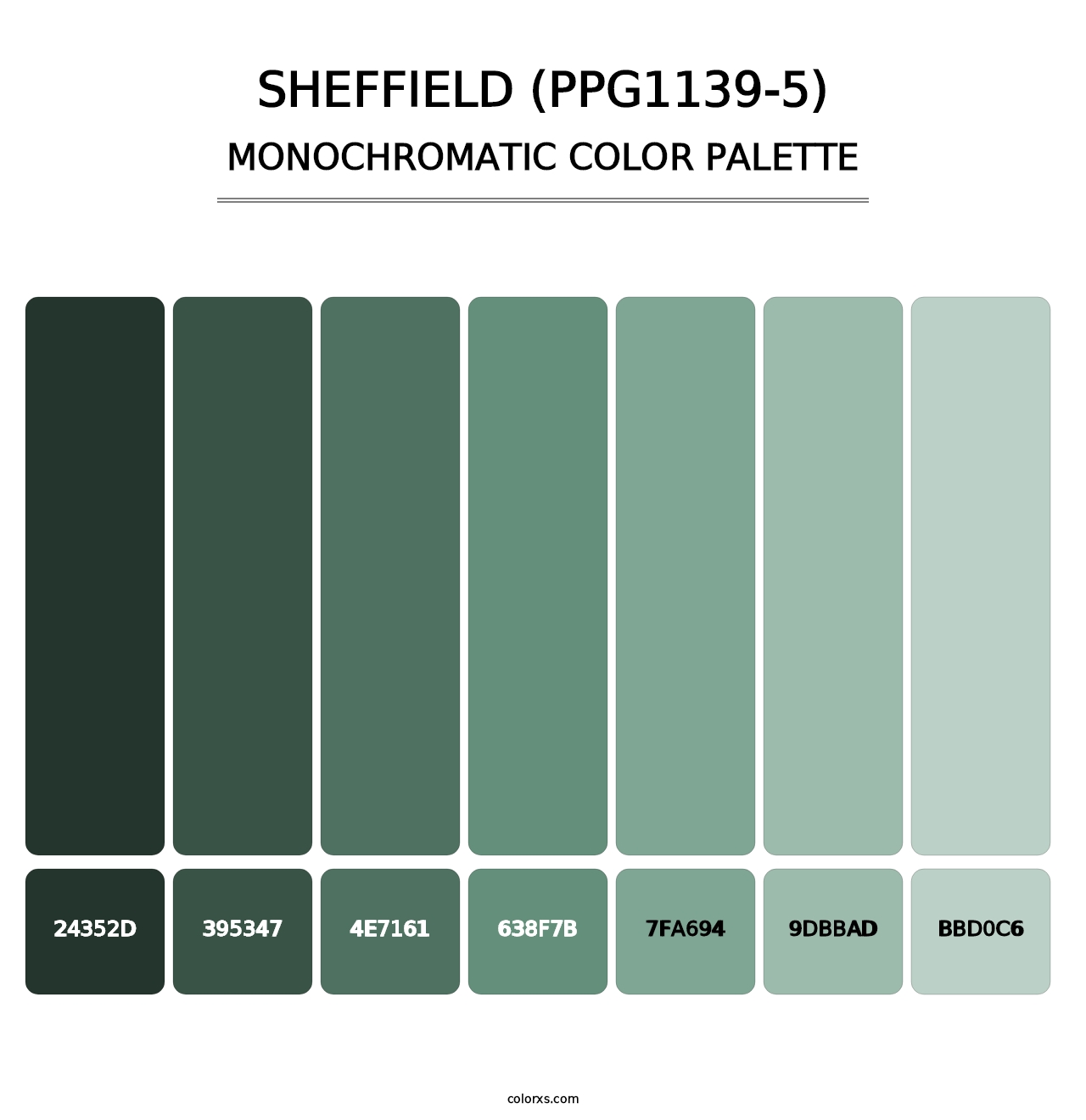 Sheffield (PPG1139-5) - Monochromatic Color Palette