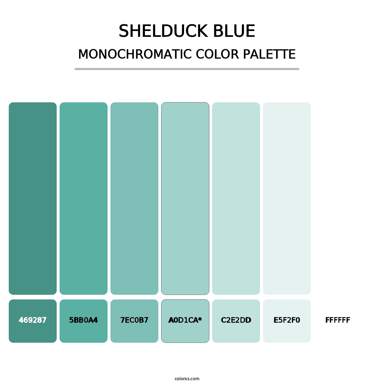 Shelduck Blue - Monochromatic Color Palette