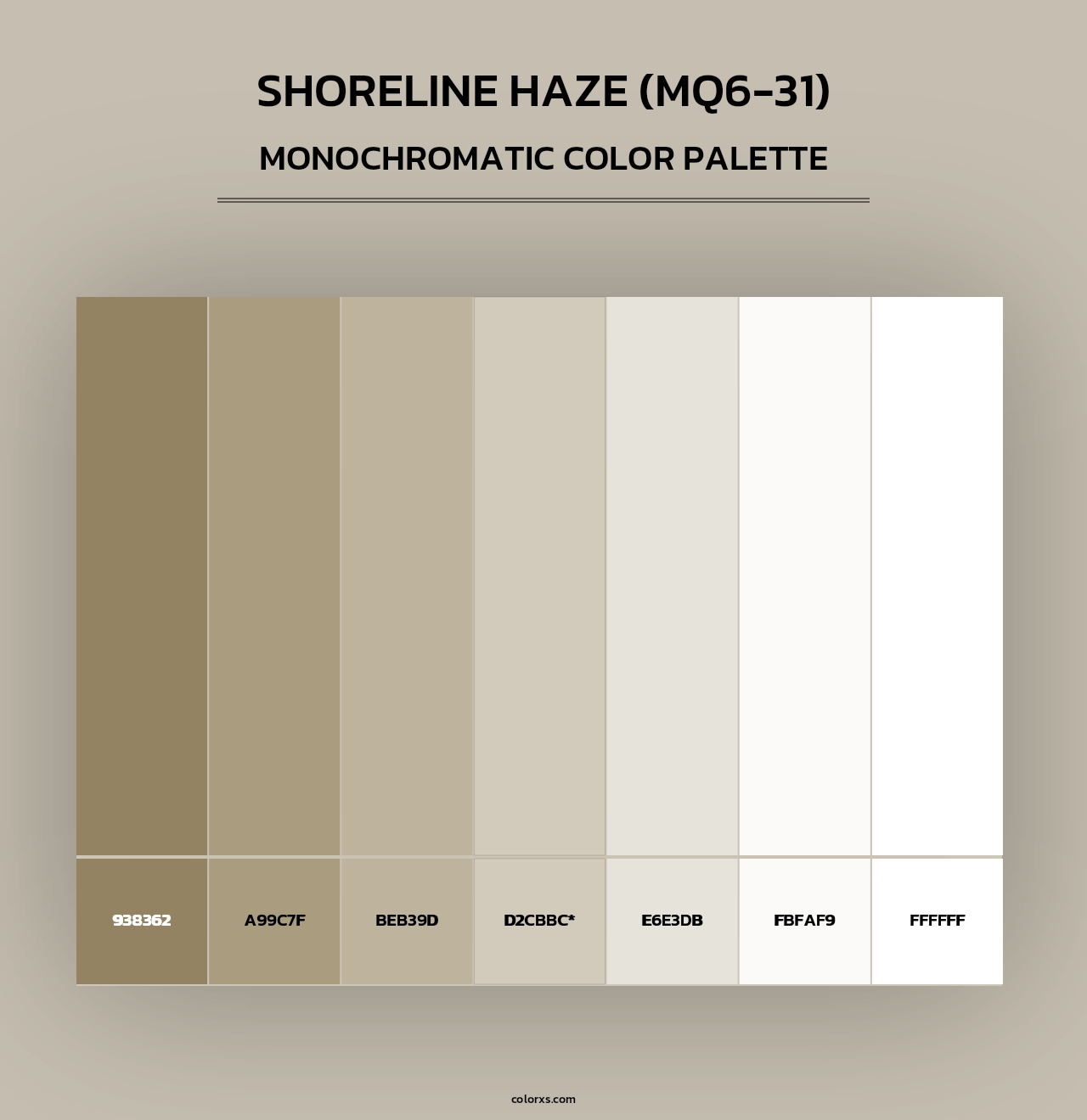 Shoreline Haze (MQ6-31) - Monochromatic Color Palette