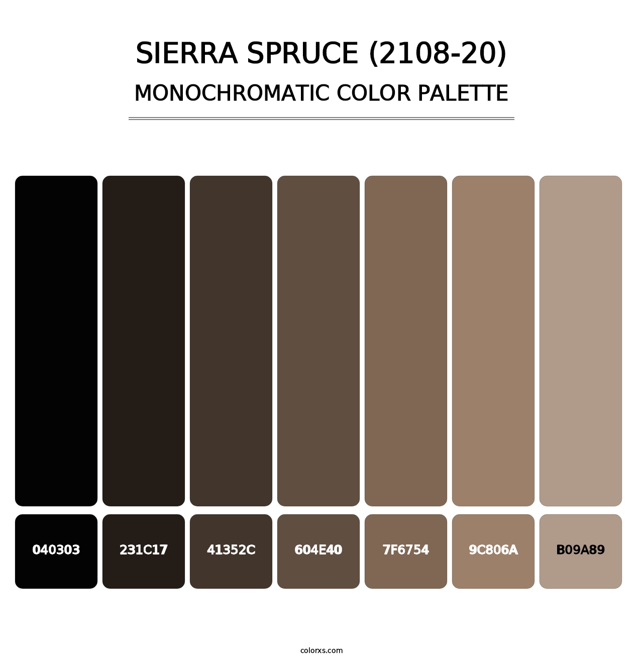 Sierra Spruce (2108-20) - Monochromatic Color Palette