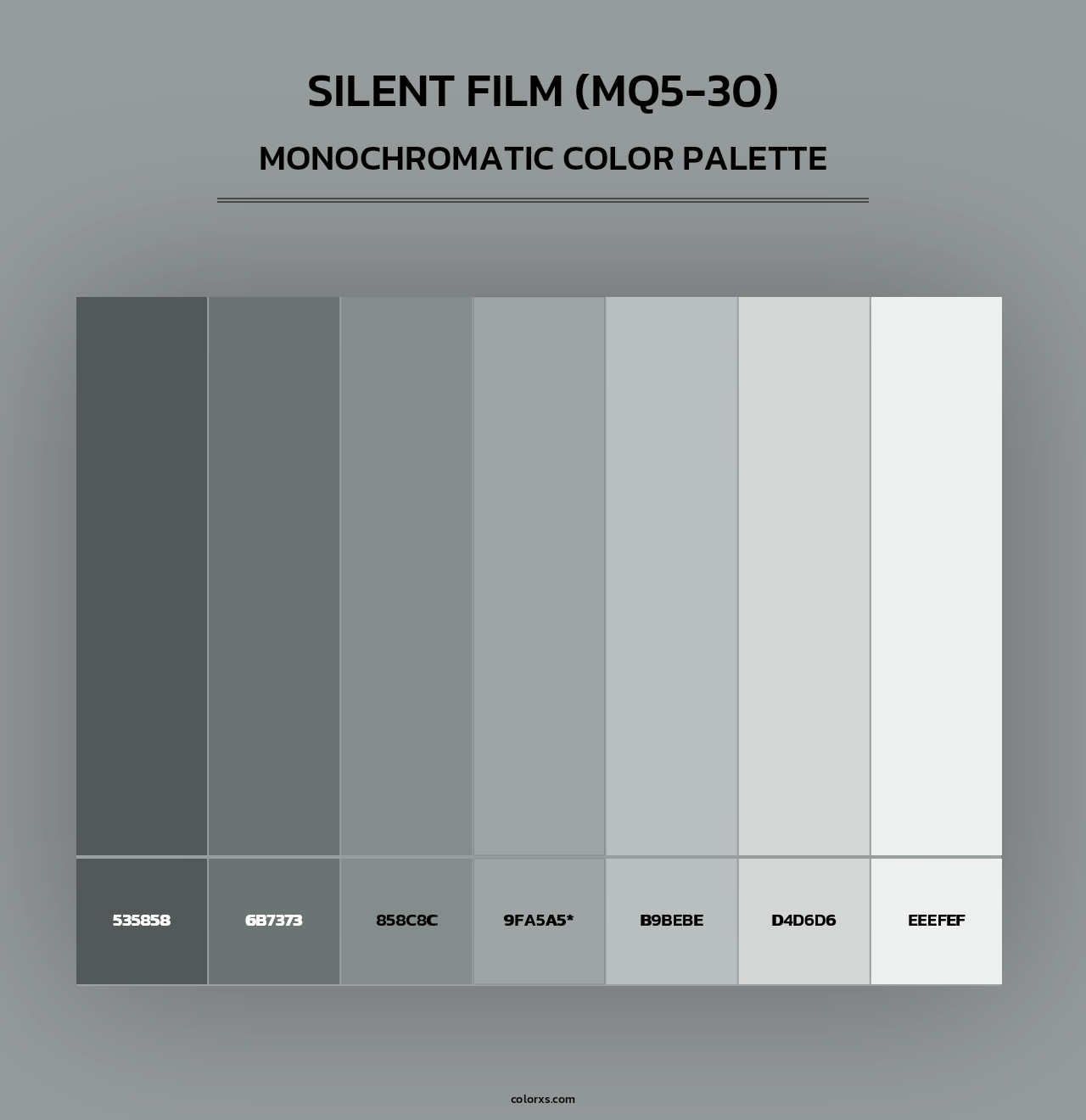 Silent Film (MQ5-30) - Monochromatic Color Palette