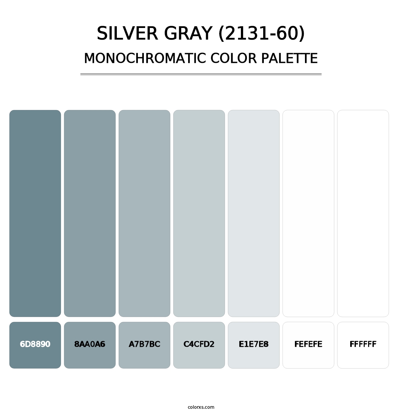 Silver Gray (2131-60) - Monochromatic Color Palette