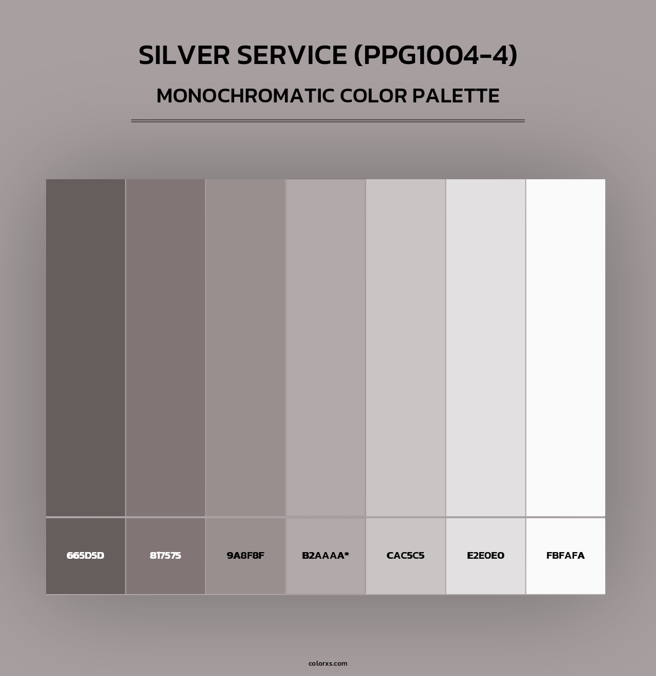 Silver Service (PPG1004-4) - Monochromatic Color Palette