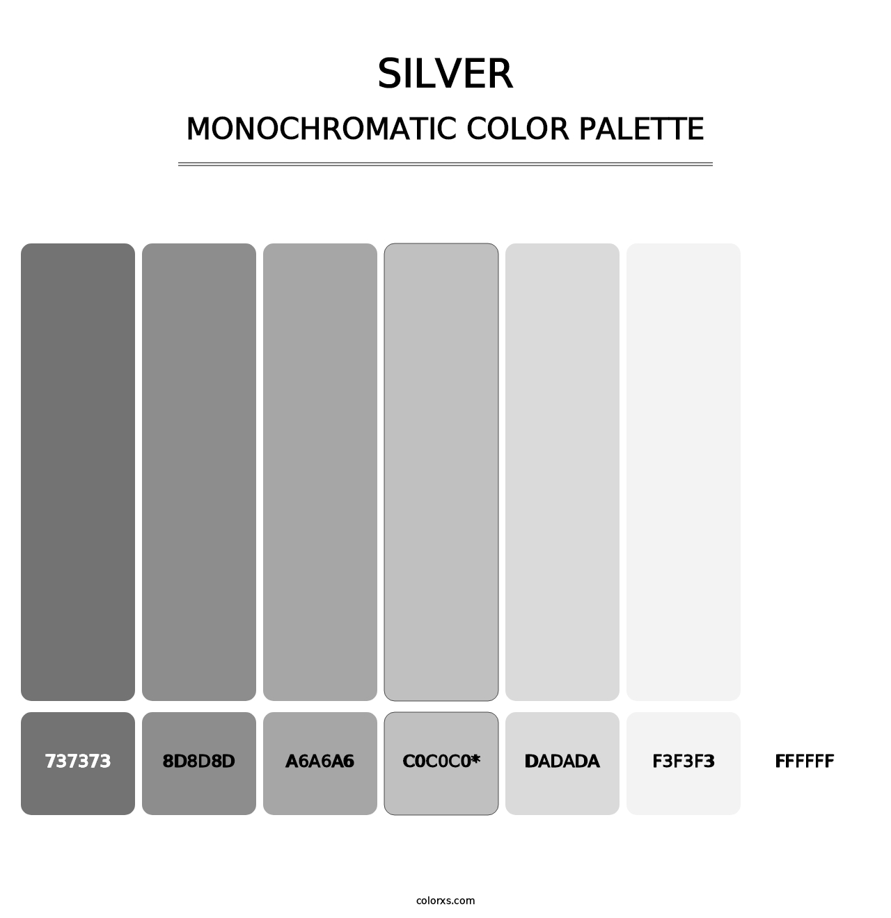 Silver - Monochromatic Color Palette