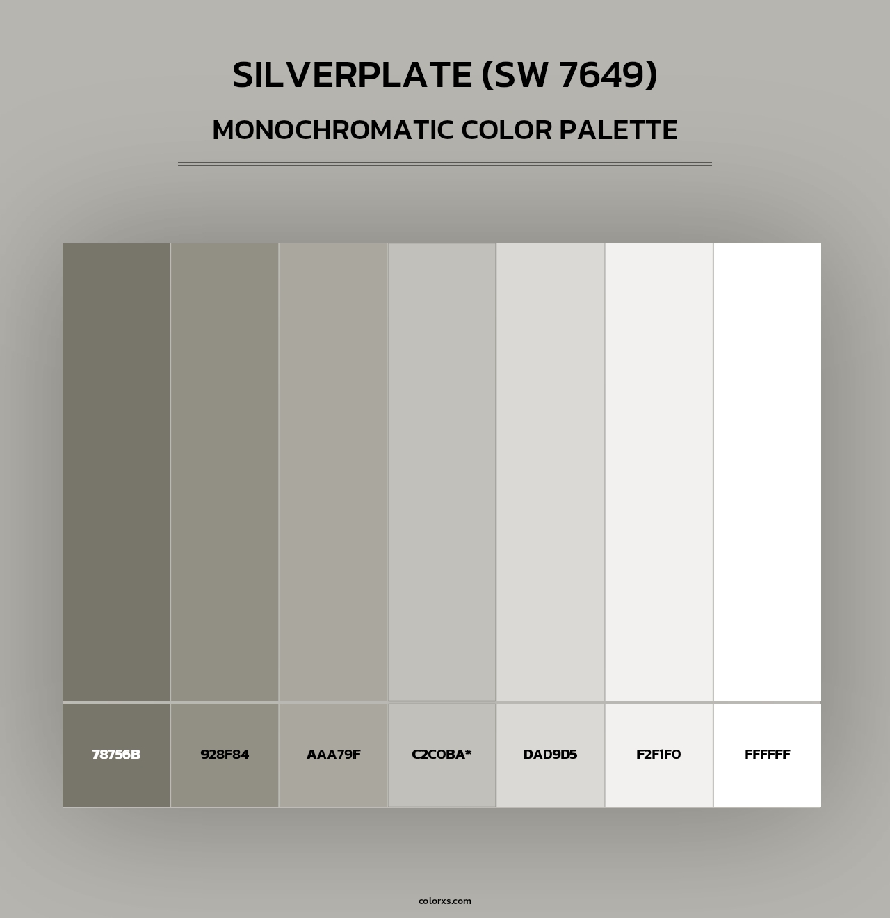 Silverplate (SW 7649) - Monochromatic Color Palette