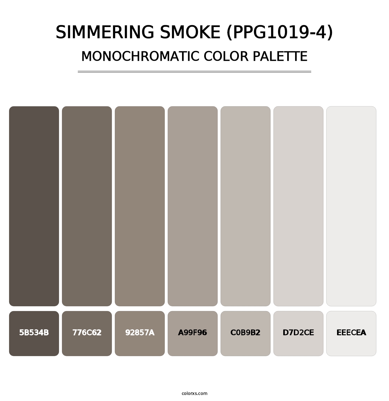 Simmering Smoke (PPG1019-4) - Monochromatic Color Palette