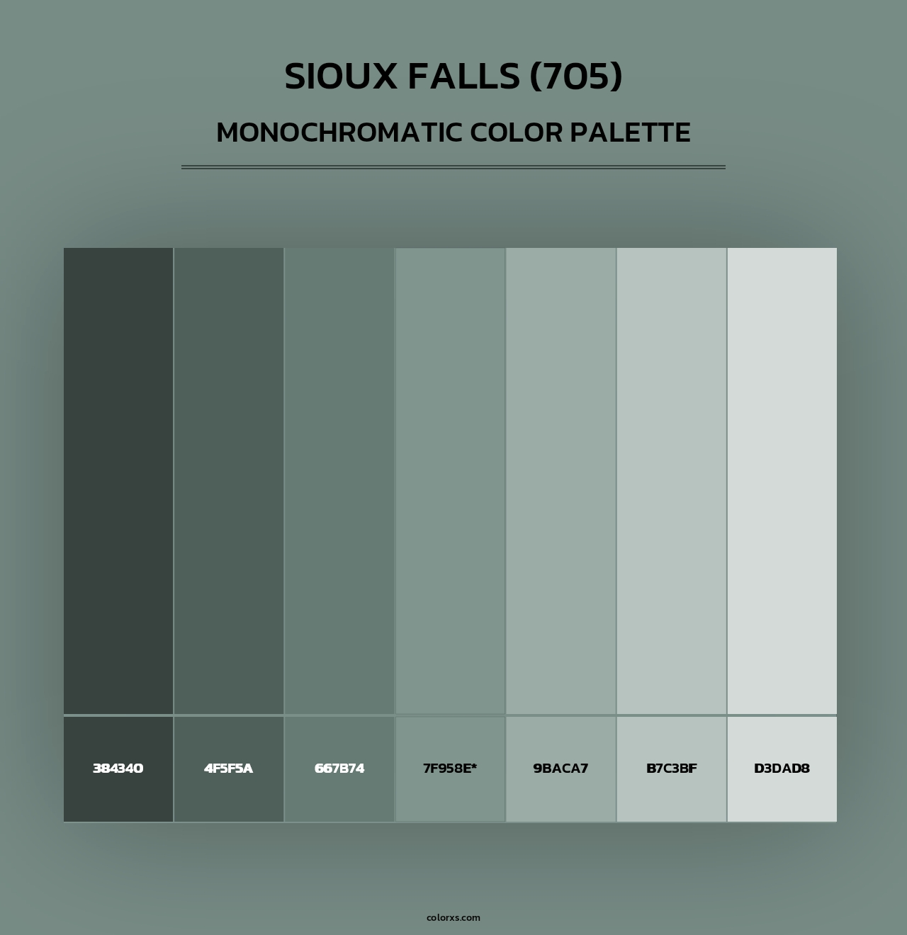 Sioux Falls (705) - Monochromatic Color Palette