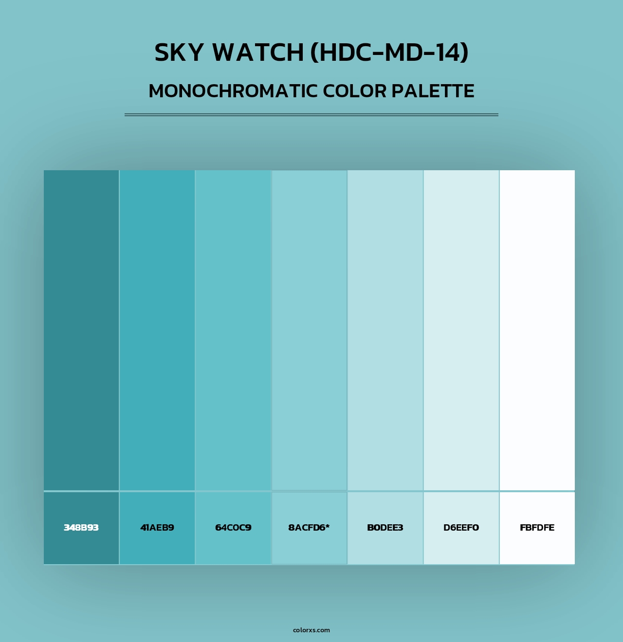Sky Watch (HDC-MD-14) - Monochromatic Color Palette