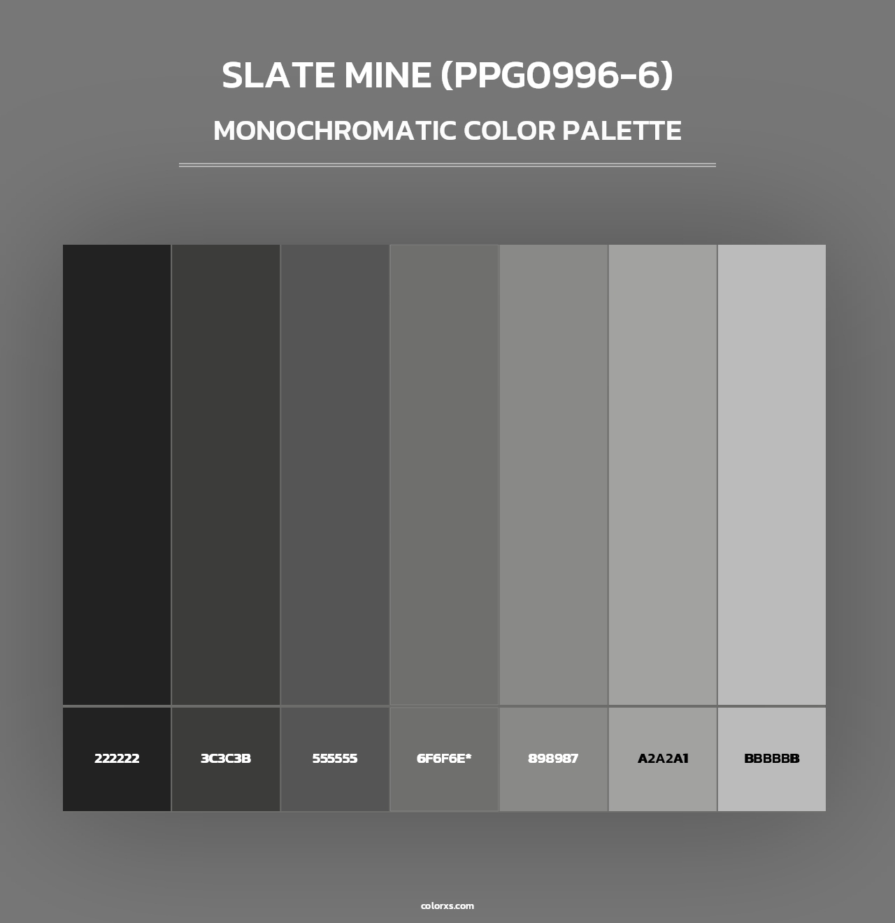 Slate Mine (PPG0996-6) - Monochromatic Color Palette