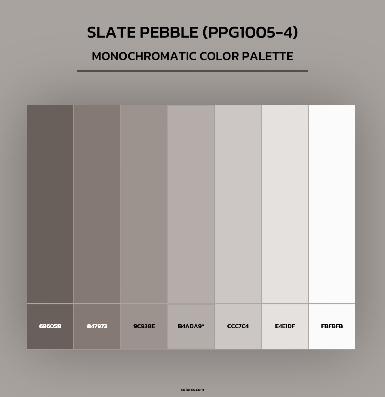 Slate Pebble (PPG1005-4) - Monochromatic Color Palette