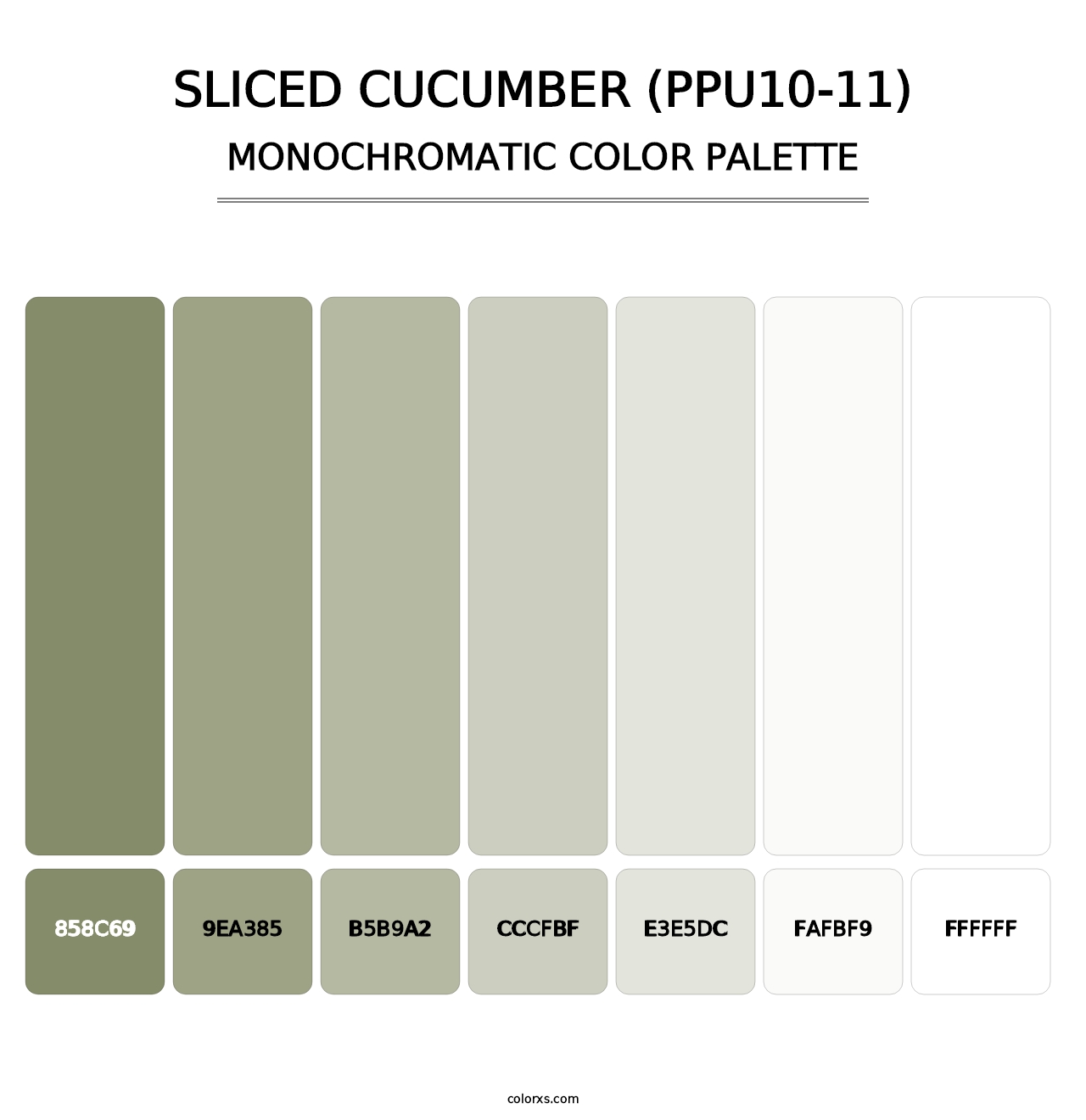 Sliced Cucumber (PPU10-11) - Monochromatic Color Palette