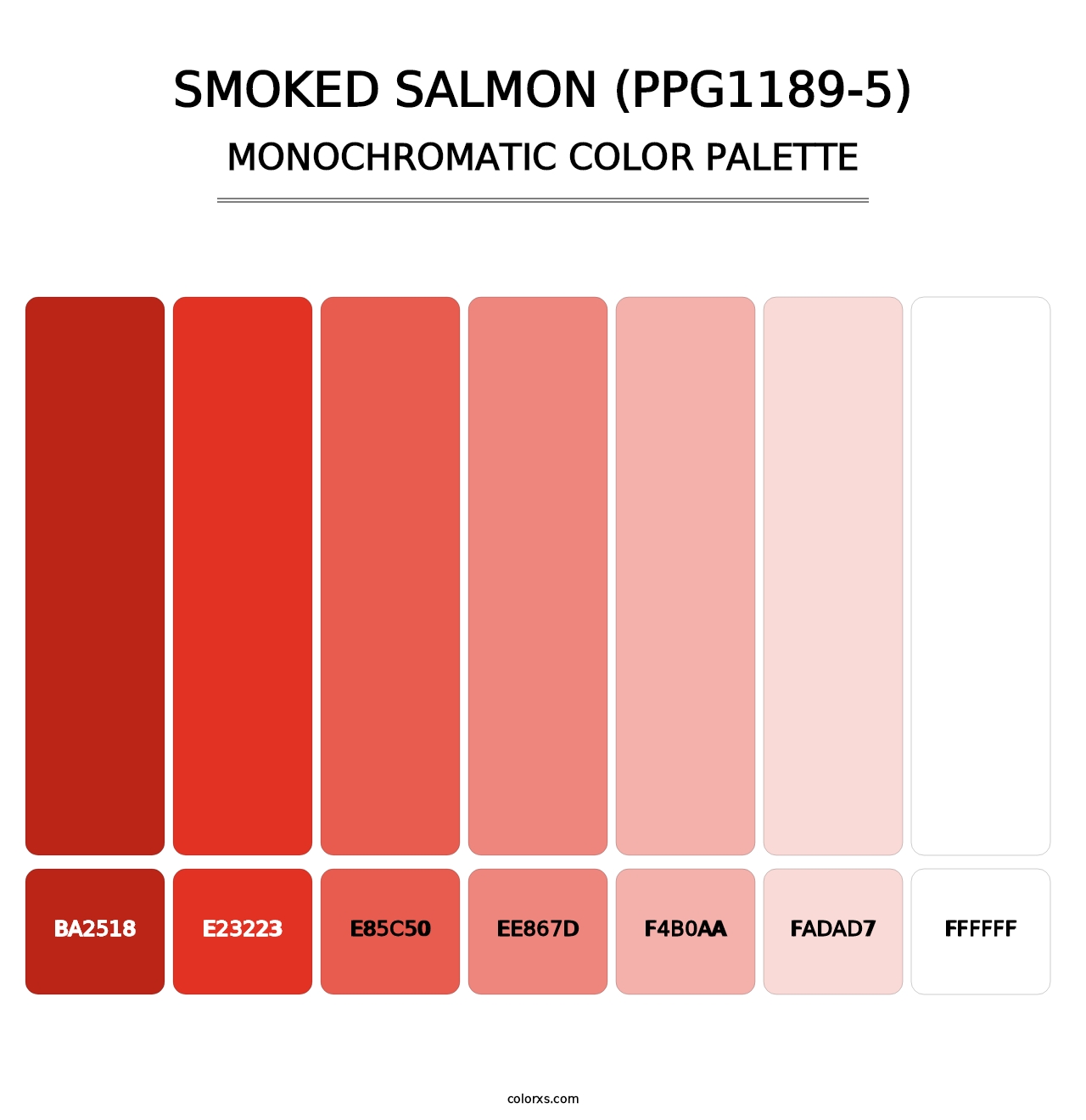 Smoked Salmon (PPG1189-5) - Monochromatic Color Palette