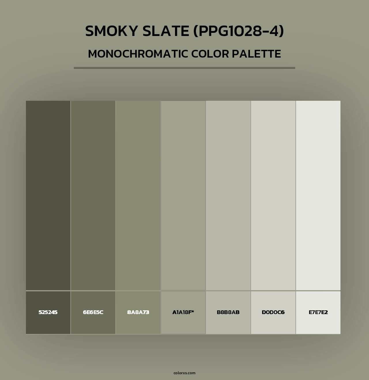 Smoky Slate (PPG1028-4) - Monochromatic Color Palette