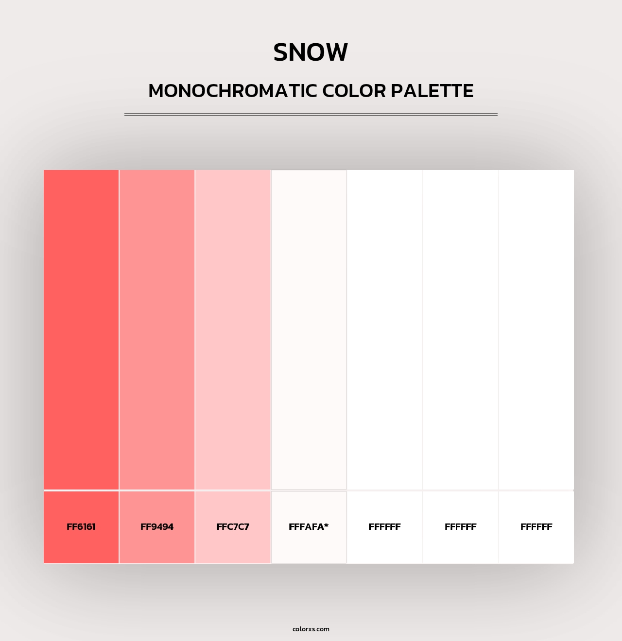 Snow - Monochromatic Color Palette