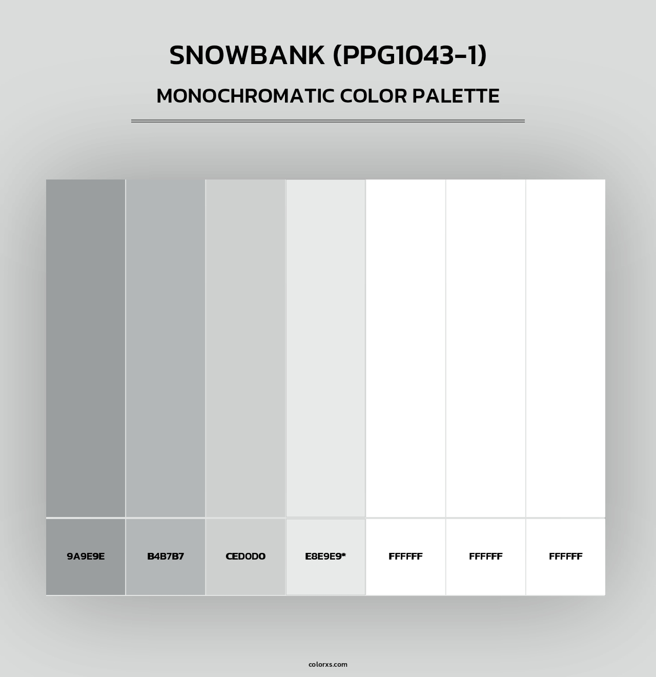 Snowbank (PPG1043-1) - Monochromatic Color Palette