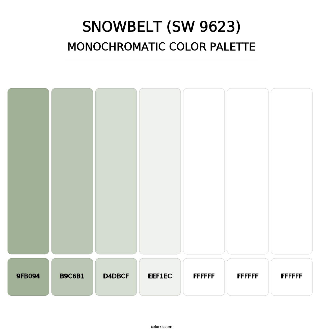 Snowbelt (SW 9623) - Monochromatic Color Palette