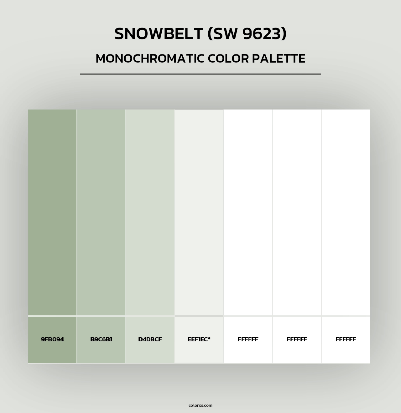 Snowbelt (SW 9623) - Monochromatic Color Palette