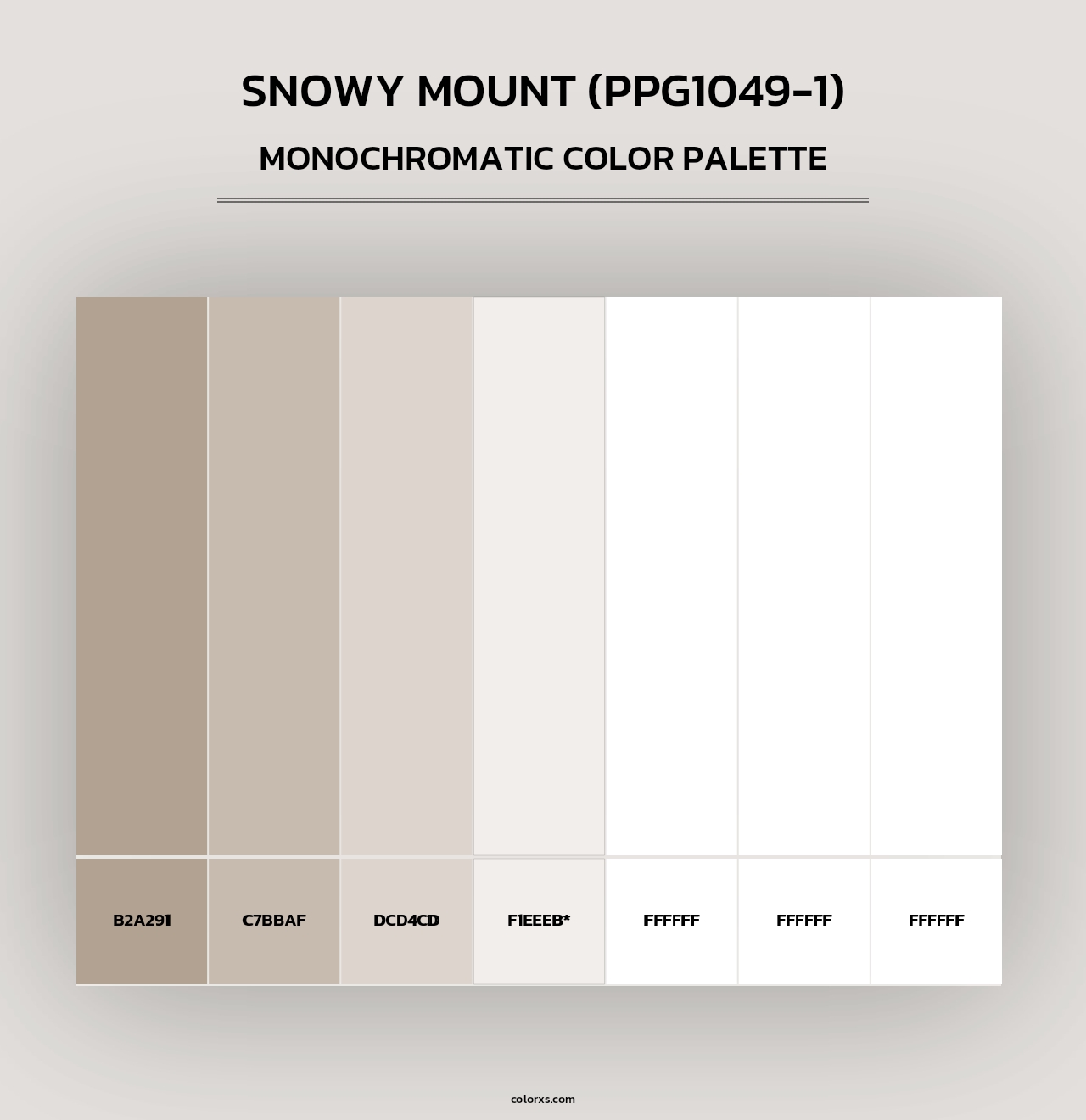 Snowy Mount (PPG1049-1) - Monochromatic Color Palette