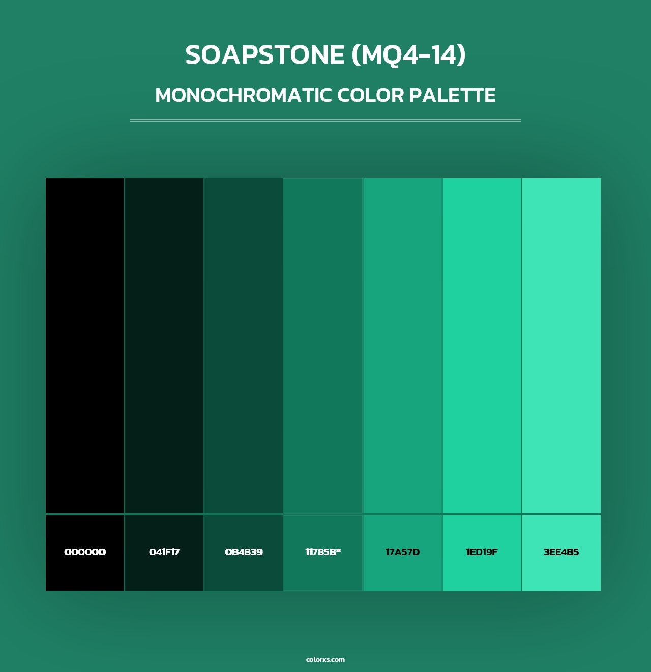 Soapstone (MQ4-14) - Monochromatic Color Palette