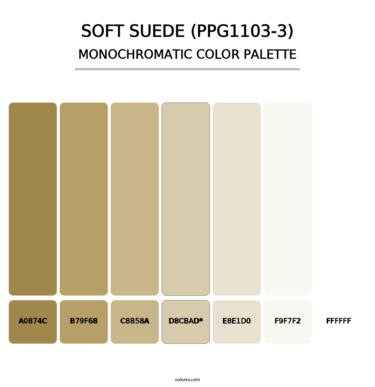 Soft Suede (PPG1103-3) - Monochromatic Color Palette