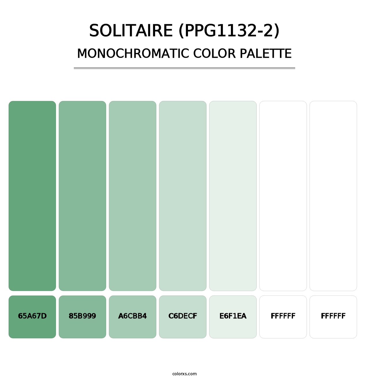 Solitaire (PPG1132-2) - Monochromatic Color Palette