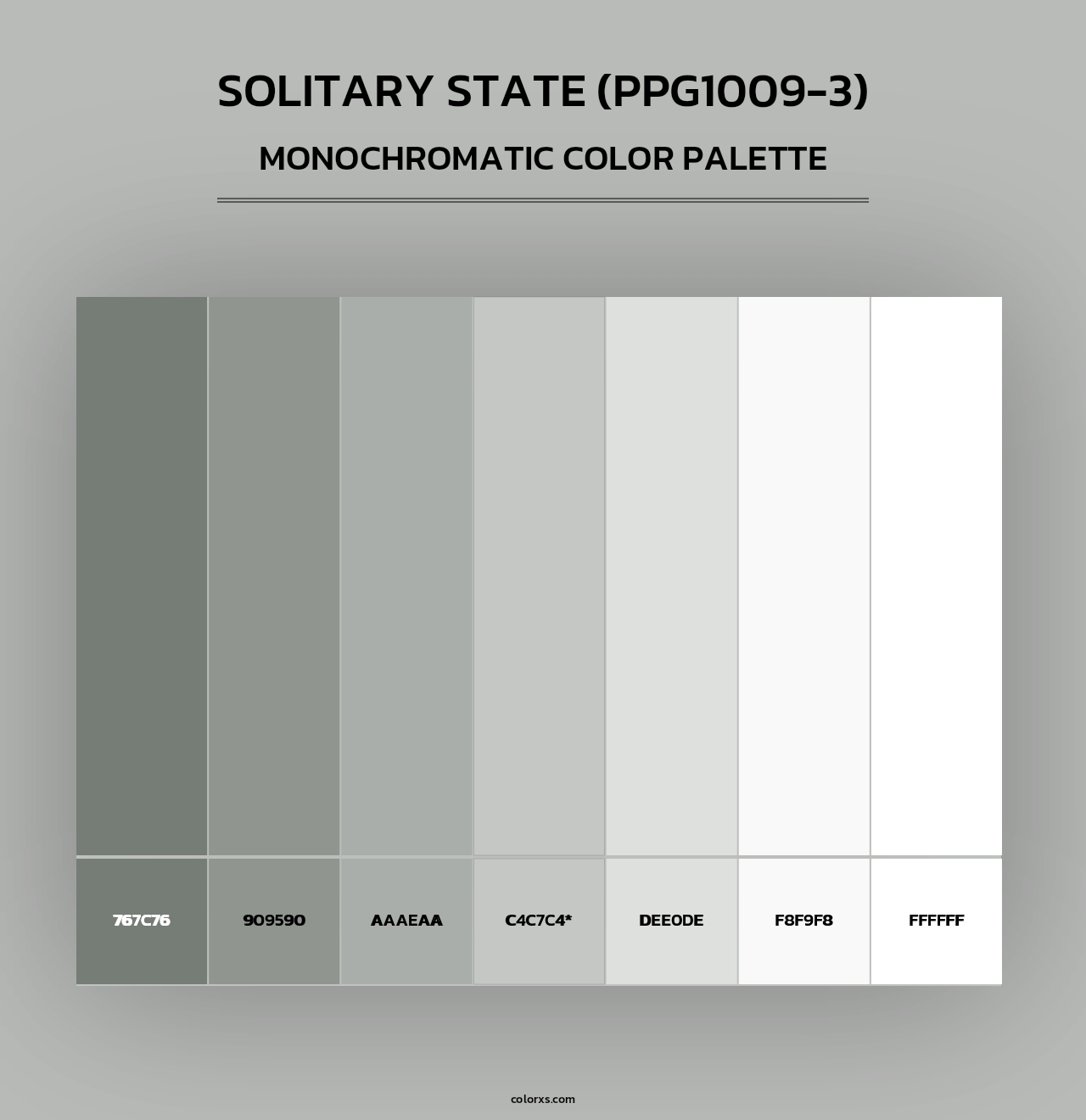 Solitary State (PPG1009-3) - Monochromatic Color Palette