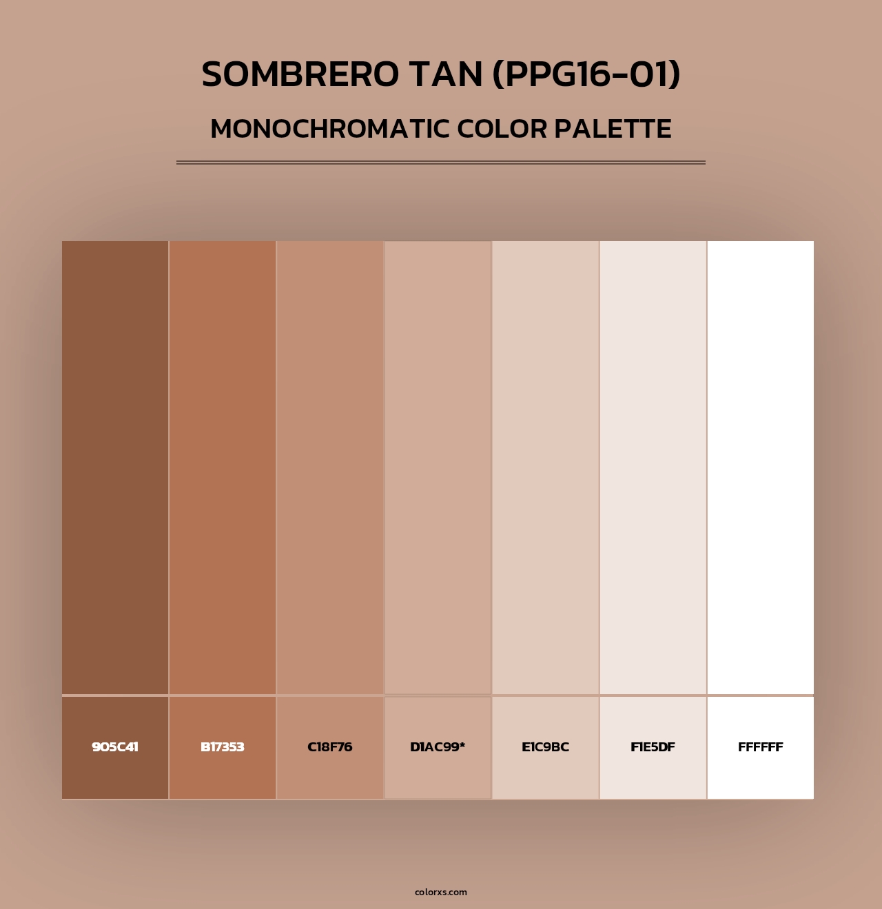 Sombrero Tan (PPG16-01) - Monochromatic Color Palette