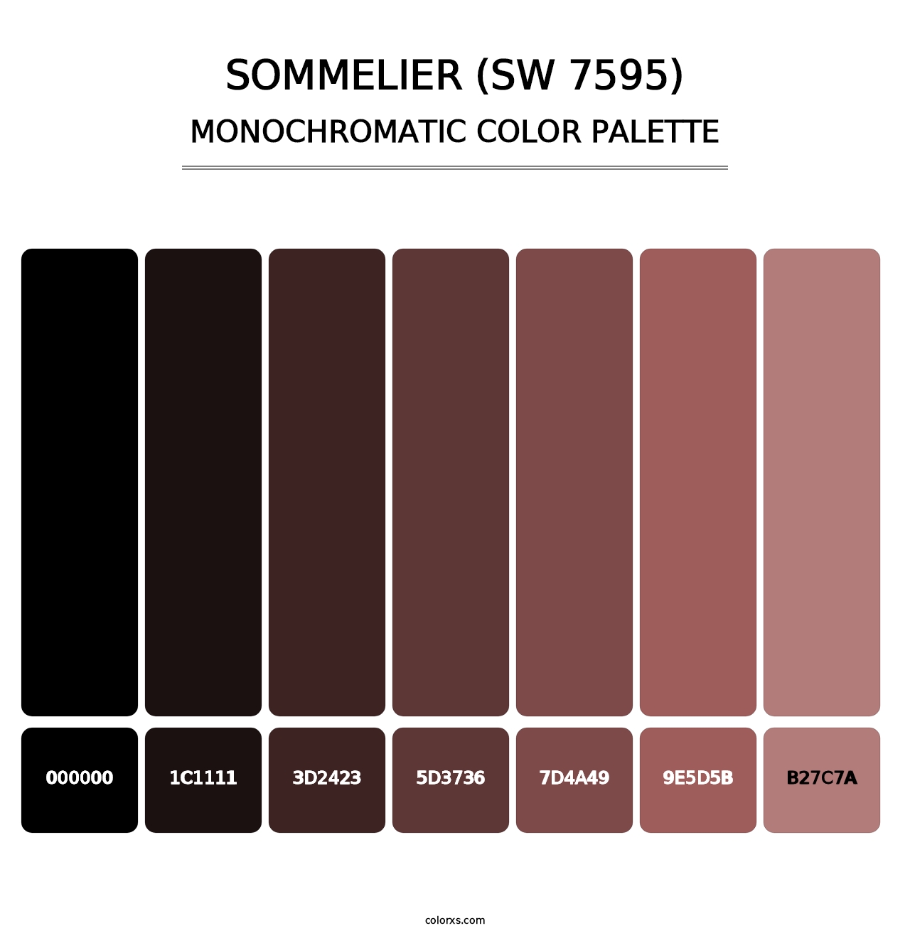 Sommelier (SW 7595) - Monochromatic Color Palette