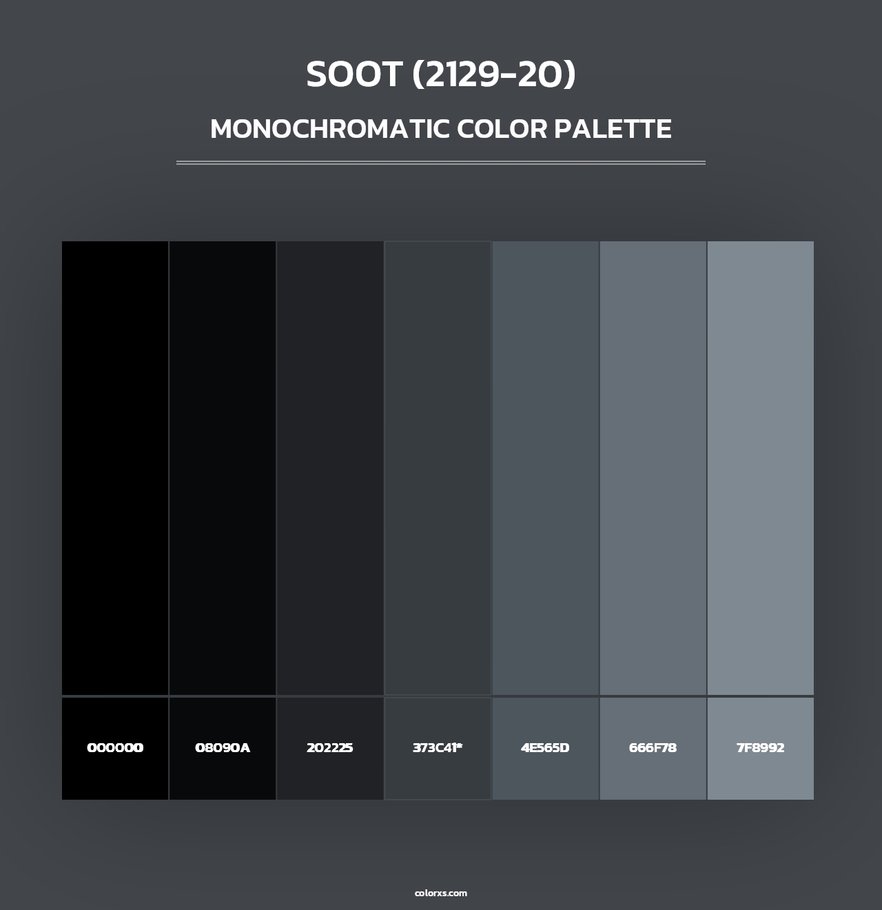 Soot (2129-20) - Monochromatic Color Palette