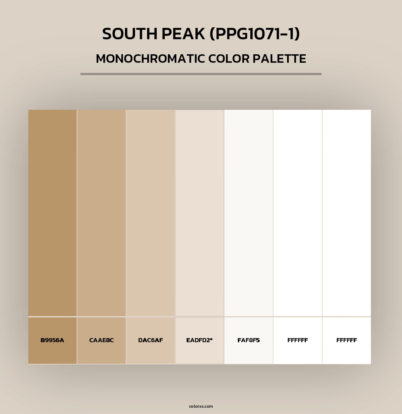 South Peak (PPG1071-1) - Monochromatic Color Palette