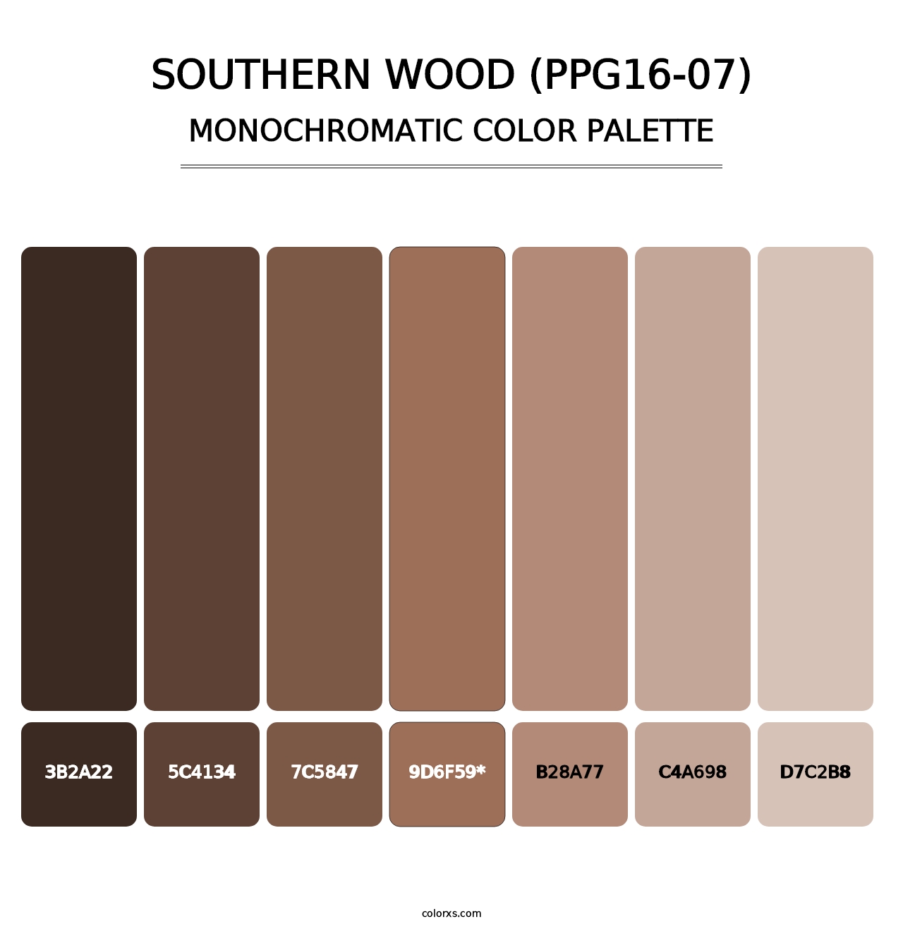 Southern Wood (PPG16-07) - Monochromatic Color Palette