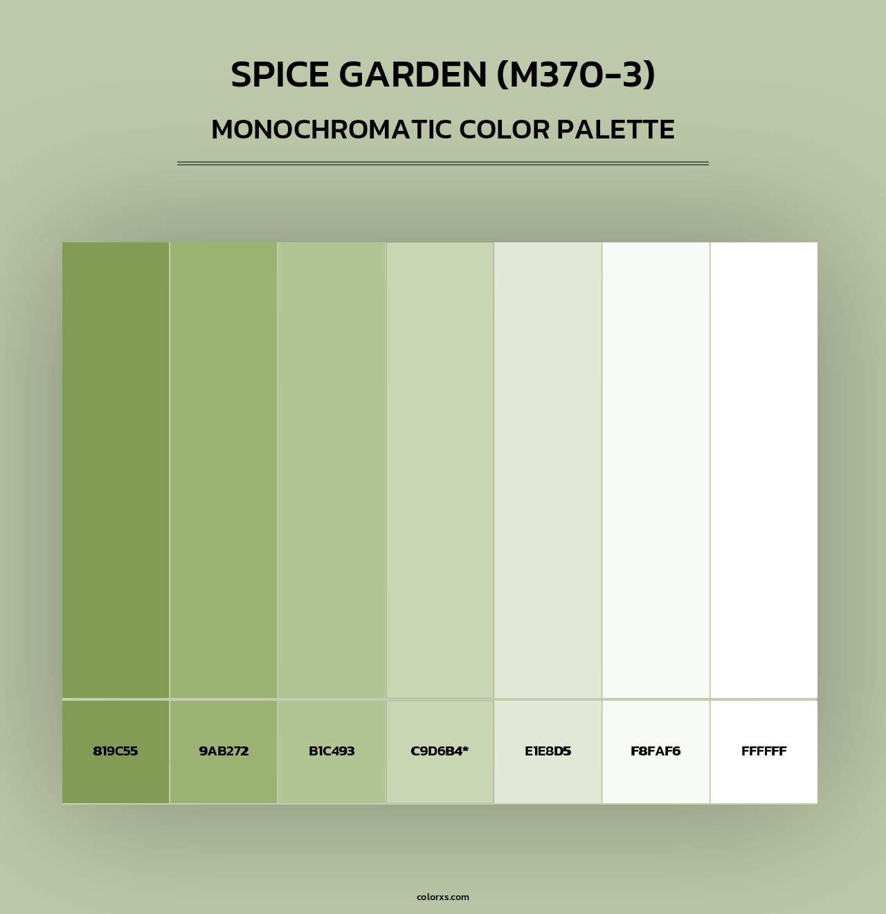 Spice Garden (M370-3) - Monochromatic Color Palette
