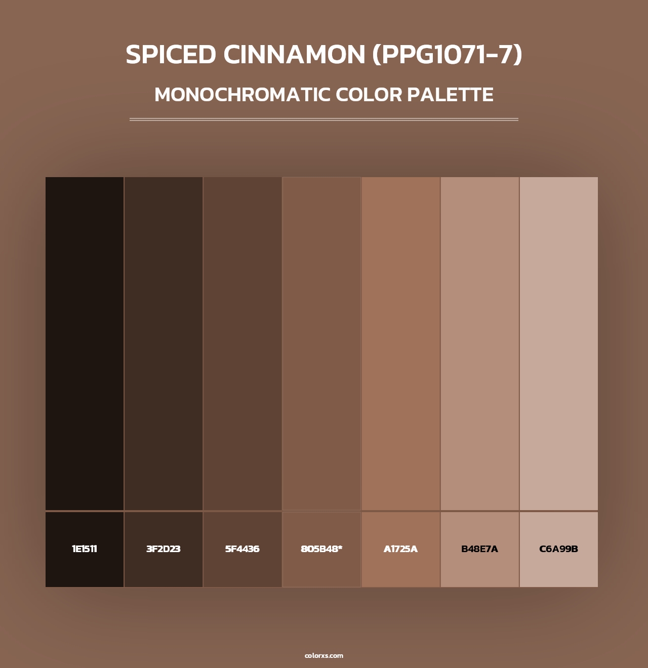 Spiced Cinnamon (PPG1071-7) - Monochromatic Color Palette