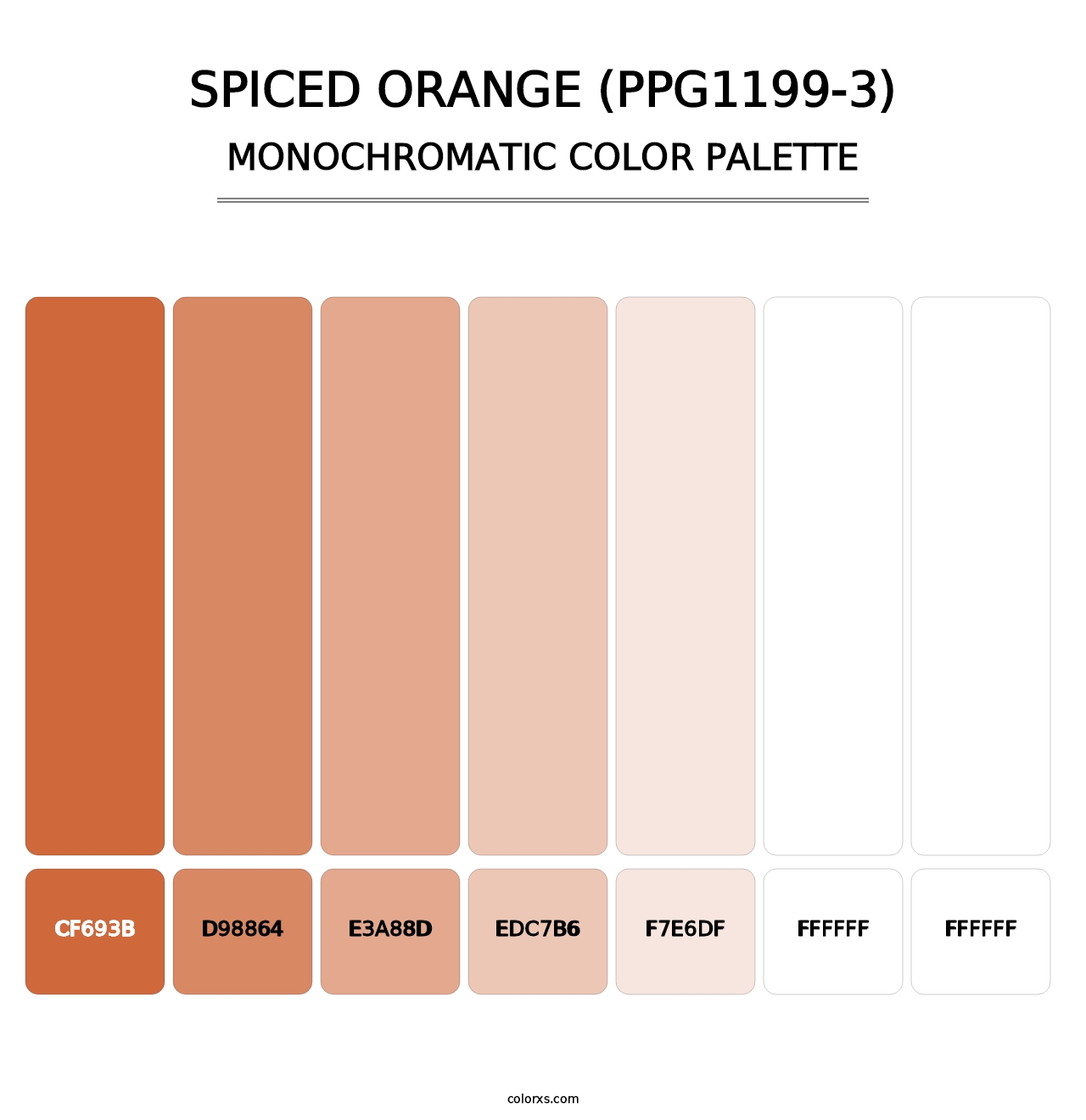 Spiced Orange (PPG1199-3) - Monochromatic Color Palette