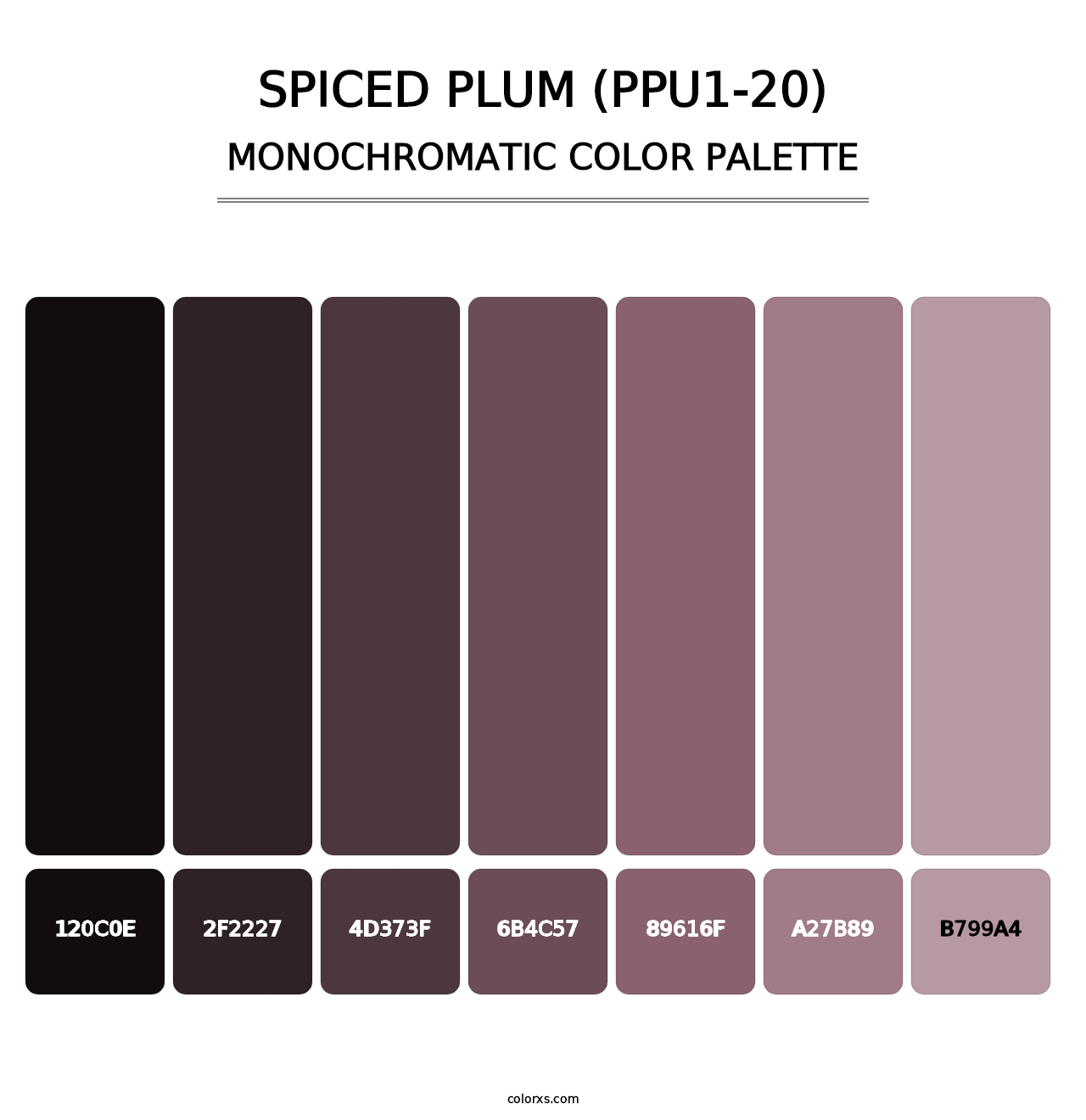 Spiced Plum (PPU1-20) - Monochromatic Color Palette