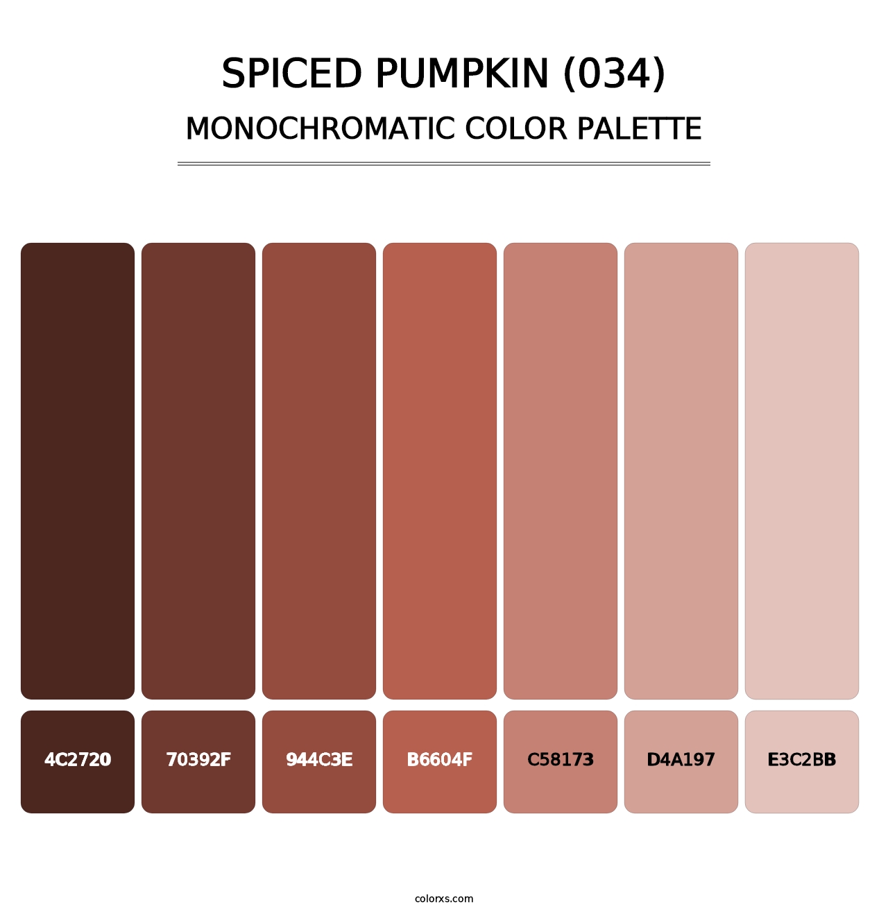 Spiced Pumpkin (034) - Monochromatic Color Palette