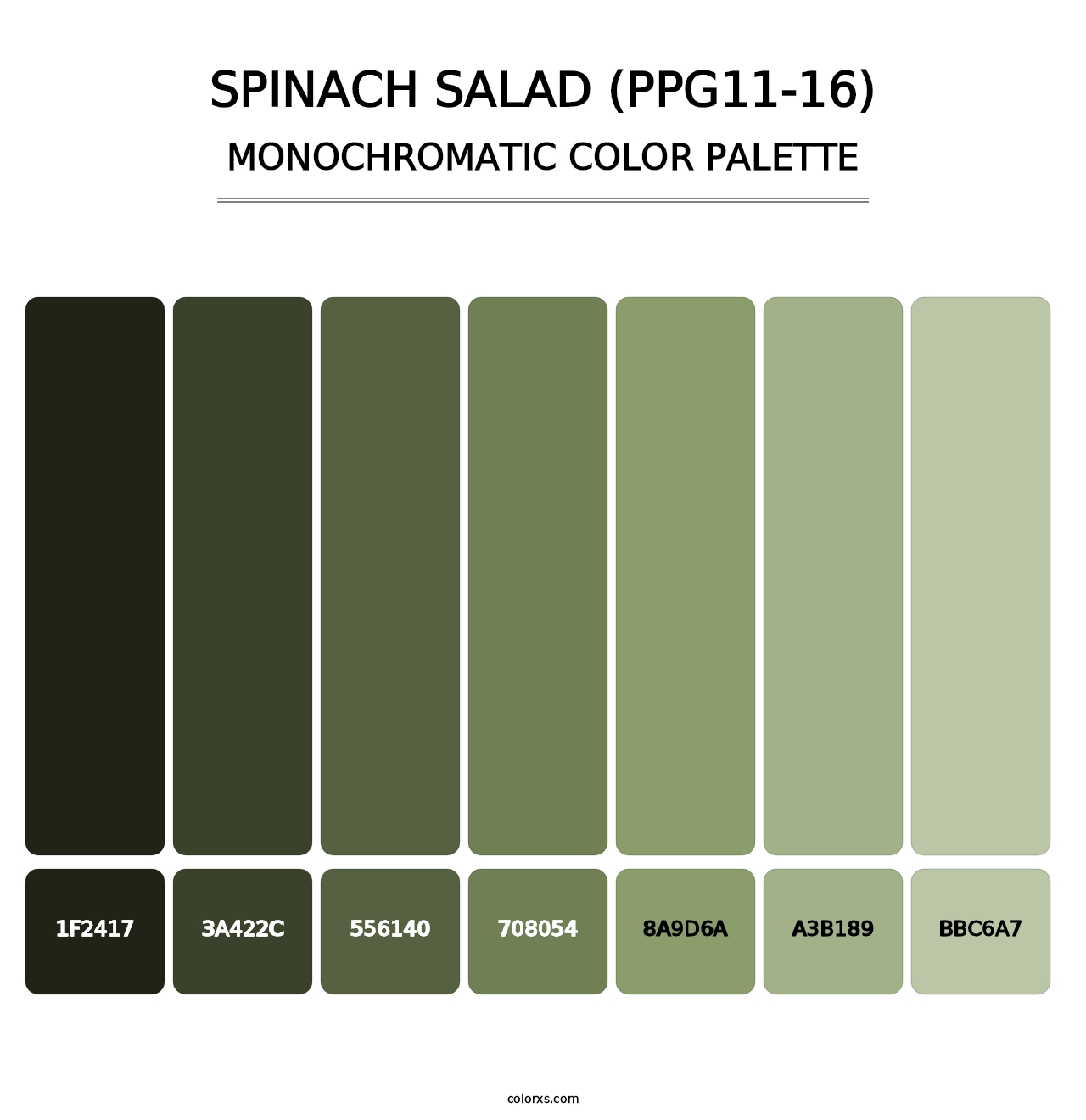 Spinach Salad (PPG11-16) - Monochromatic Color Palette