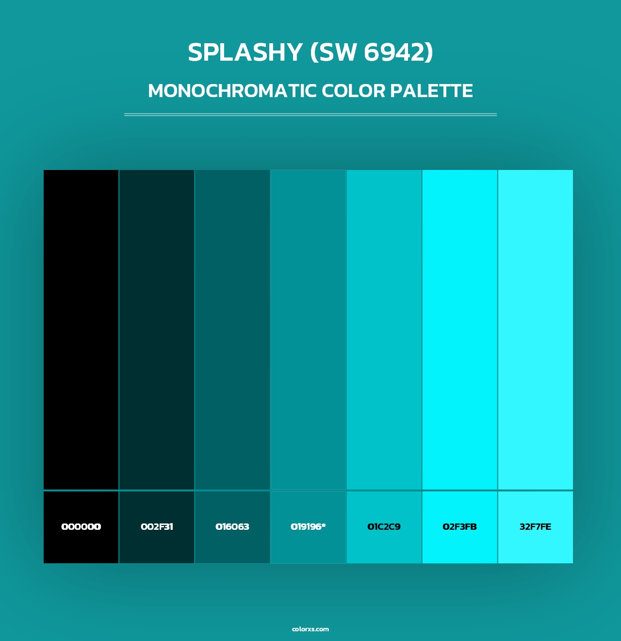 Splashy (SW 6942) - Monochromatic Color Palette