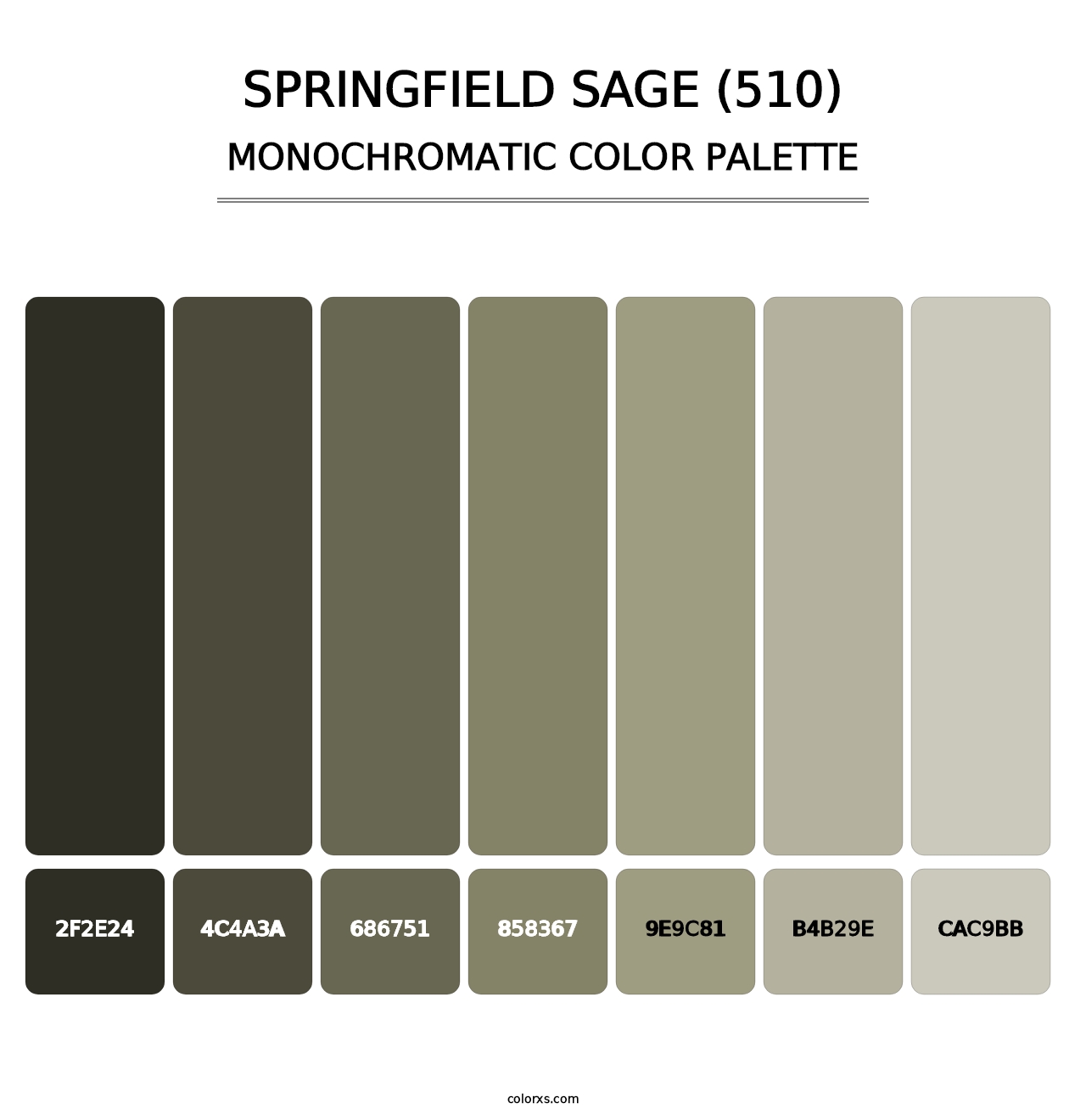 Springfield Sage (510) - Monochromatic Color Palette