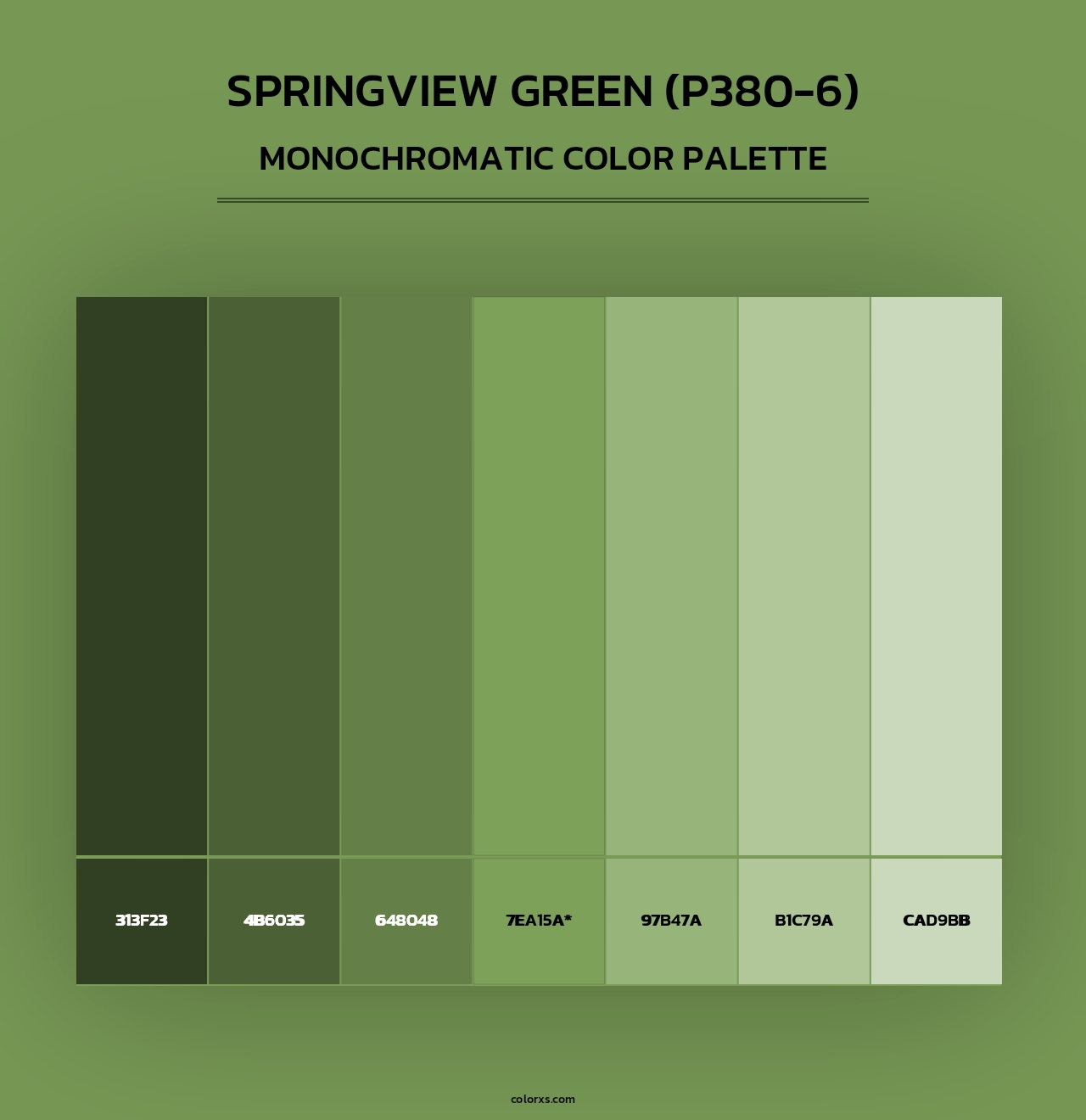 Springview Green (P380-6) - Monochromatic Color Palette
