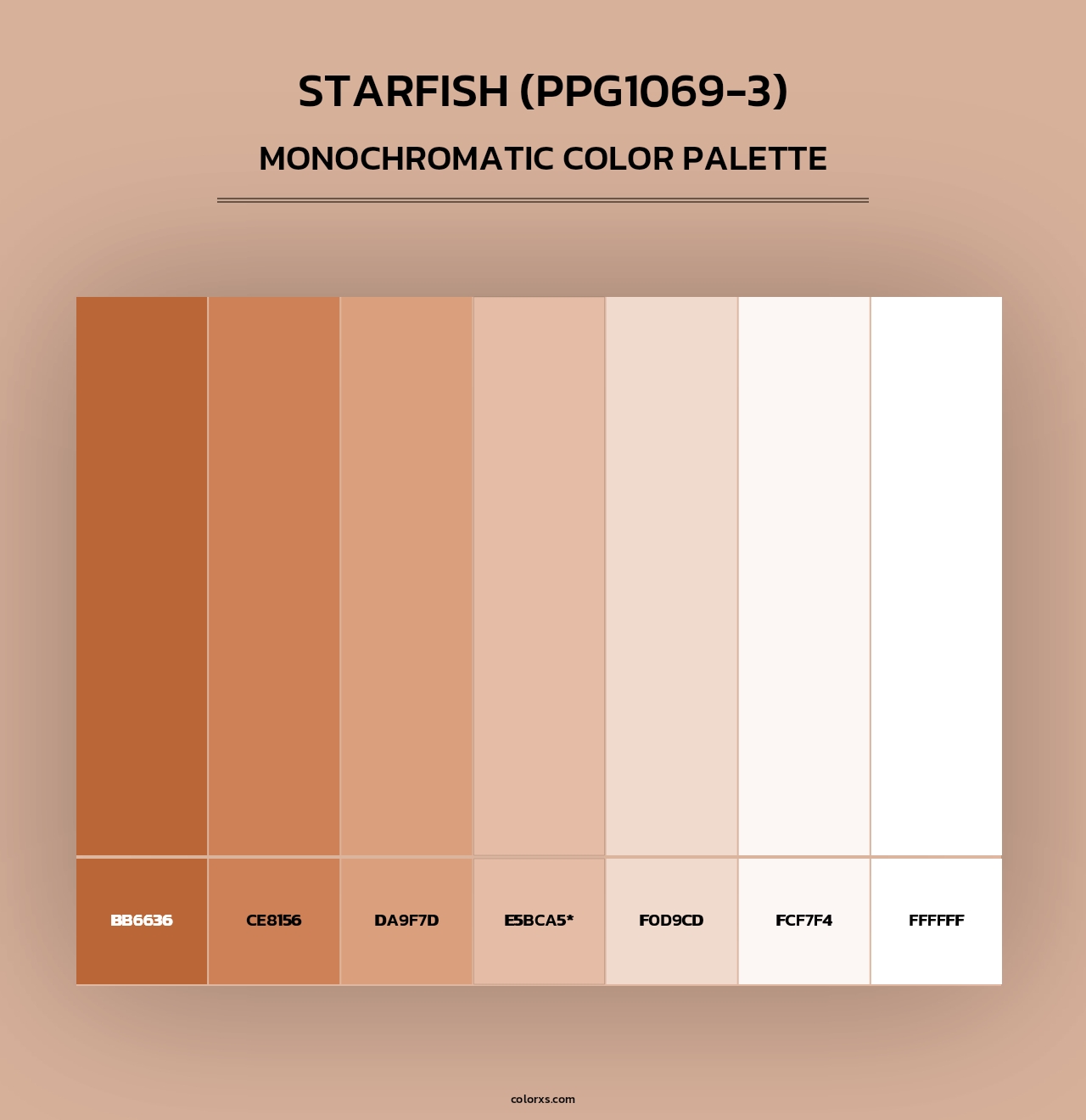 Starfish (PPG1069-3) - Monochromatic Color Palette